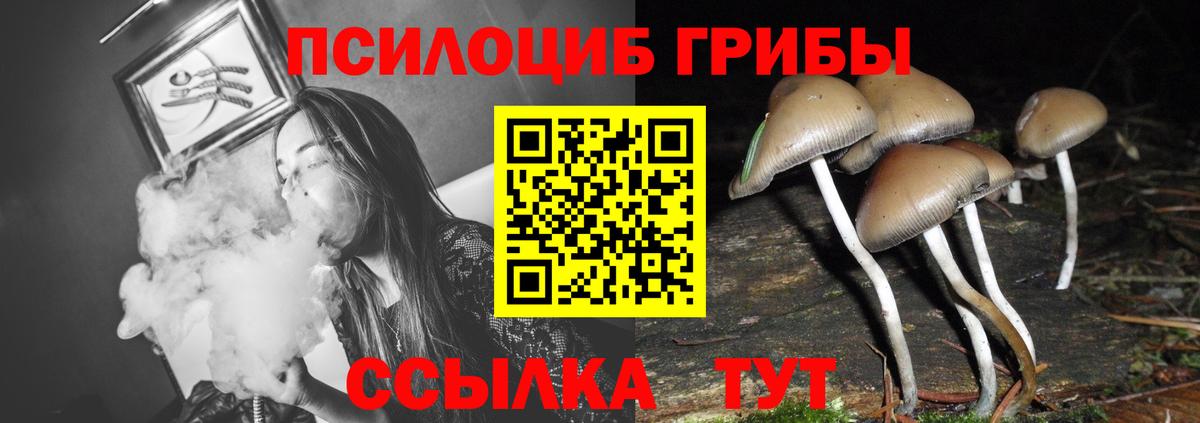 Осинники  наркошоп  Вход с VPN  Галлюциногенные грибы Magic Shrooms 